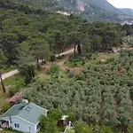 Gelidonia On The Lycian Way *