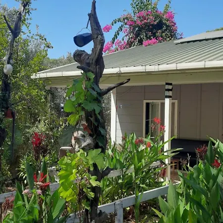 Feriehus Gelidonia Fenerium *