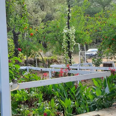 Holiday home Gelidonia Fenerium Antalya