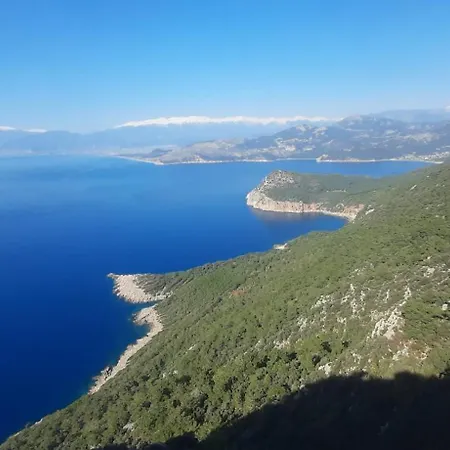 Gelidonia Fenerium Сasa de vacaciones