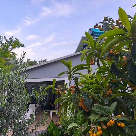 Gelidonia Fenerium Feriehus