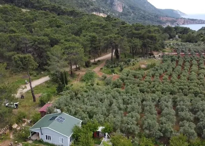 Gelidonia On The Lycian Way *